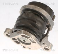 TRISCAN 8641103059 - Unidades accionadas: Alternador<br>Diámetro exterior [mm]: 55<br>Ancho [mm]: 25,8<br>SVHC: No existen sustancias SVHC<br>