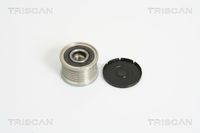 TRISCAN 8641104010 - Rueda libre alternador