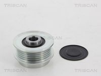 TRISCAN 8641134003 - Rueda libre alternador