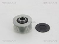 TRISCAN 8641244011 - Rueda libre alternador