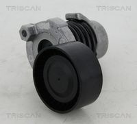 TRISCAN 8641253012 - Unidades accionadas: Alternador<br>Diámetro exterior [mm]: 65<br>Ancho [mm]: 30<br>SVHC: No existen sustancias SVHC<br>