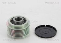 TRISCAN 8641254009 - Rueda libre alternador