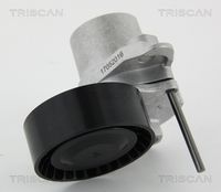 TRISCAN 8641293052 - Unidades accionadas: Alternador<br>Equipamiento de vehículo: para vehículos con climatizador<br>Diámetro exterior [mm]: 65<br>Ancho [mm]: 24<br>SVHC: No existen sustancias SVHC<br>