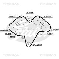 TRISCAN 86455475 - Correa dentada