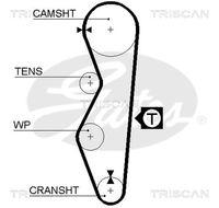 TRISCAN 86455521 - Correa dentada