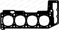 PAYEN AG6060 - Código de motor: F1CE3481E (F30DT)<br>Espesor [mm]: 1,1<br>Tipo de junta: Junta metálica multilámina<br>