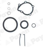 PAYEN EA5830 - Código de motor: 4HY (DW12UTED)<br>para OE N°: 0197X4<br>Artículo complementario / información complementaria 2: con junta de cárter de aceite<br>