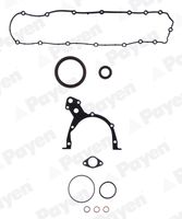 PAYEN EY230 - Juego de juntas, bloque motor