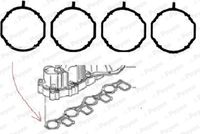 PAYEN HA5069 - Código de motor: CAYB<br>Número de piezas necesarias: 4<br>para OE N°: 03L129717J<br>Forma: redondo<br>