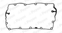 PAYEN JM7113 - Junta, tapa de culata de cilindro