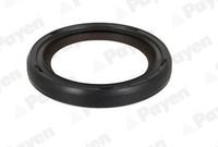 GLASER P9328401 - Lado de montaje: frontal<br>Código de motor: H4D 450<br>Lado de montaje: frontal<br>Código de motor: H4D 460<br>Material: PTFE (Politetrafluoroetileno)<br>Diámetro interior [mm]: 40<br>Diámetro exterior [mm]: 52<br>Altura [mm]: 7<br>