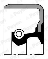 PAYEN NA5140 - Lado de montaje: frontal<br>Código de motor: D4FD<br>Material: FPM (caucho fluroado)<br>Diámetro interior [mm]: 41<br>Diámetro exterior [mm]: 53<br>Altura [mm]: 7<br>Tipo de retén radial: A SL<br>Tipo de giro: Giro a la derecha<br>