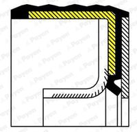 PAYEN NA5223 - Código de motor: 199 A3.000<br>Lado de montaje: frontal<br>Altura [mm]: 7<br>Material: FPM (caucho fluroado)<br>Diámetro interior [mm]: 40<br>Diámetro exterior [mm]: 52<br>Tipo de giro: Giro a la derecha<br>Tipo de retén radial: 829S RD W<br>