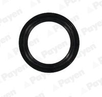 GLASER P9328401 - Lado de montaje: frontal<br>Código de motor: H4D 450<br>Lado de montaje: frontal<br>Código de motor: H4D 460<br>Material: PTFE (Politetrafluoroetileno)<br>Diámetro interior [mm]: 40<br>Diámetro exterior [mm]: 52<br>Altura [mm]: 7<br>