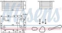 NISSENS 91431 - Radiador de aceite, aceite motor - ** FIRST FIT **