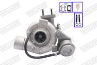 LUCAS 53039880037 - Turbocompresor, sobrealimentación - OE REMAN