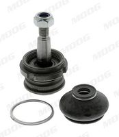 MOOG FIBJ13405 - Lado de montaje: debajo<br>Lado de montaje: Eje delantero<br>Lado de montaje: Eje delantero, izquierda<br>Lado de montaje: Eje delantero, derecha<br>Peso [kg]: 0,250<br>Número de piezas necesarias: 2<br>long. de embalaje [cm]: 11<br>Ancho de embalaje [cm]: 6<br>h embalaje [cm]: 6<br>