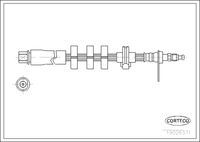 CORTECO 19026371 - Tubo flexible de frenos