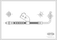 CORTECO 19032129 - Tubo flexible de frenos