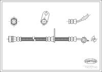 CORTECO 19032190 - Tubo flexible de frenos