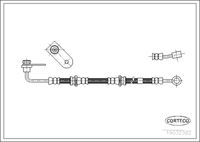 CORTECO 19032382 - Tubo flexible de frenos