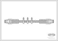 CORTECO 19032451 - Tubo flexible de frenos