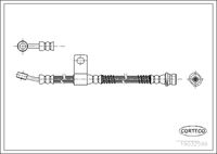 CORTECO 19032599 - Tubo flexible de frenos