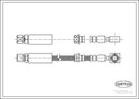 CORTECO 19032619 - Tubo flexible de frenos