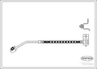 CORTECO 19032883 - Tubo flexible de frenos