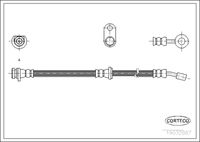 CORTECO 19032887 - Tubo flexible de frenos