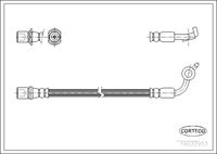 CORTECO 19032953 - Tubo flexible de frenos