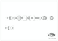 CORTECO 19036488 - Tubo flexible de frenos