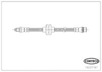 CORTECO 19037187 - Tubo flexible de frenos