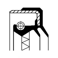 CORTECO 49490546 - Clase de caja de cambios: para caja de doble embrague 6 vel.<br>Lado de montaje: Entrada<br>Diám. int. 1 [mm]: 48<br>Diámetro exterior 1 [mm]: 245<br>Altura 1 [mm]: 34,5<br>Material: PTFE (Politetrafluoroetileno)<br>