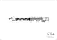 CORTECO 19018166 - Tubo flexible de frenos