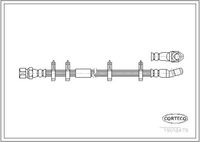 CORTECO 19018479 - Tubo flexible de frenos