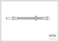 CORTECO 19020538 - Tubo flexible de frenos