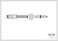 CORTECO 19025702 - Tubo flexible de frenos