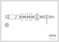 CORTECO 19026371 - Tubo flexible de frenos