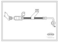 CORTECO 19032126 - Tubo flexible de frenos