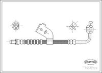 CORTECO 19032129 - Tubo flexible de frenos