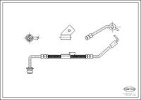 CORTECO 19032130 - Tubo flexible de frenos