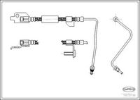 CORTECO 19032138 - Tubo flexible de frenos