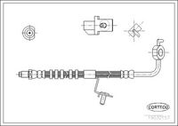CORTECO 19032157 - Tubo flexible de frenos