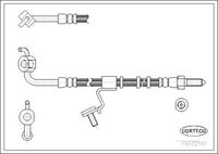 CORTECO 19032161 - Tubo flexible de frenos