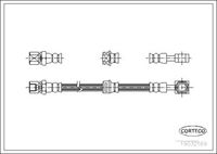 CORTECO 19032169 - Tubo flexible de frenos