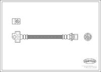 CORTECO 19032309 - Tubo flexible de frenos