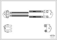 CORTECO 19032831 - Tubo flexible de frenos