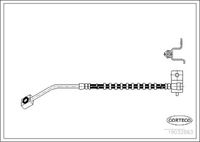 CORTECO 19032883 - Tubo flexible de frenos