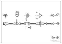 CORTECO 19032899 - Tubo flexible de frenos